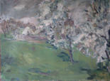 Blühende Obstbäume 1925